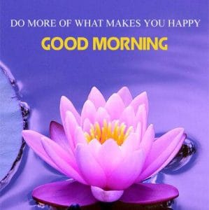 good morning flowers