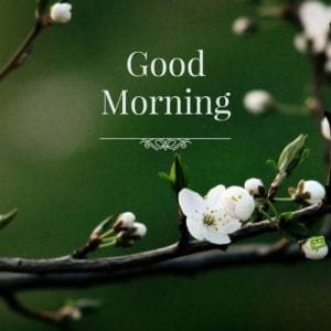 happy tuesday images