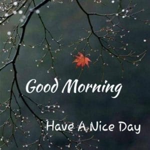 happy wednesday images