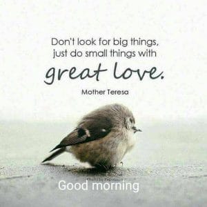 sunday morning images