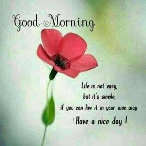 today good morning images