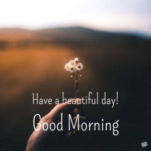 wednesday morning blessings