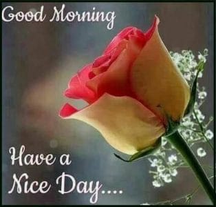 good-morning-baby-i-love-you-images