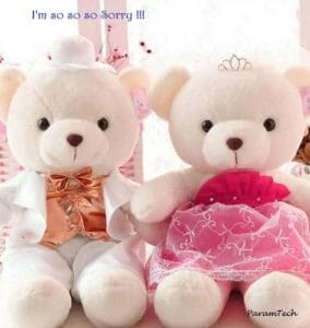 I-am-sorry-teddy-bear-images