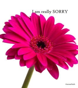 Sorry-pictures-with-roses