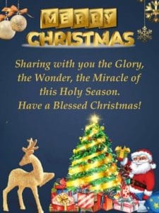 Twinkling star trail above Christmas tree