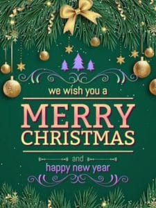 Frosted cranberries and evergreen branches HD