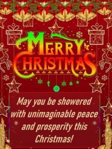 Snow-covered Christmas tree in winter forest HD