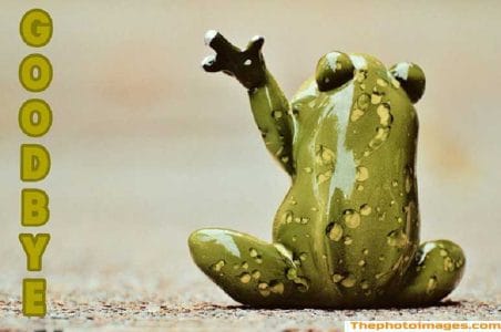 saying-goodbye-quotes-to-someone-you-love