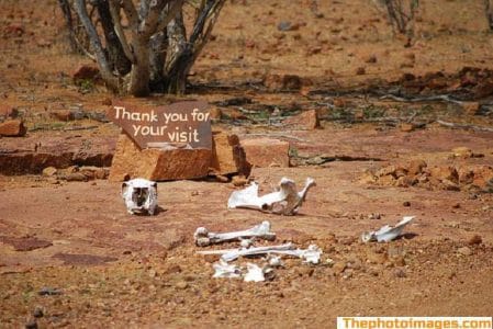 saying-goodbyequotes-death