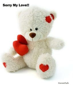 sorry-images-bhai