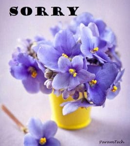 sorry-images-download