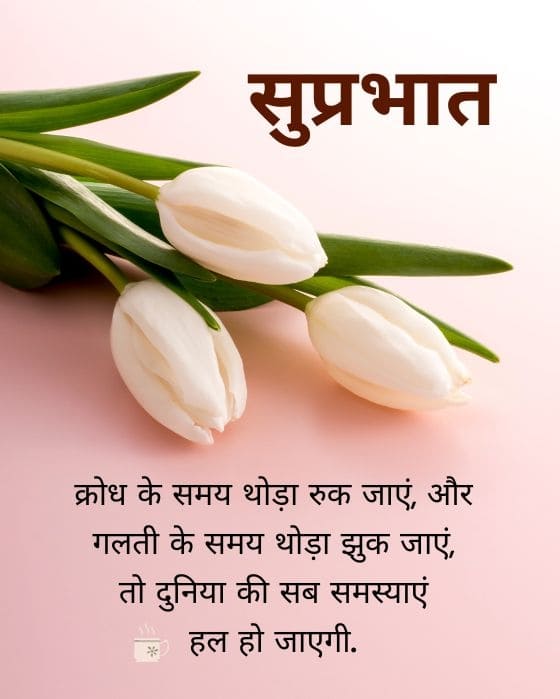 Suprabhat images in hindi with white roses free download